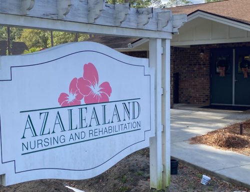 Azalealand Nursing Home